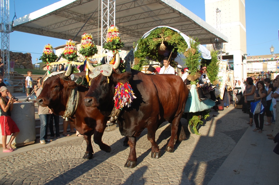 Festa patronale Sant'anna 